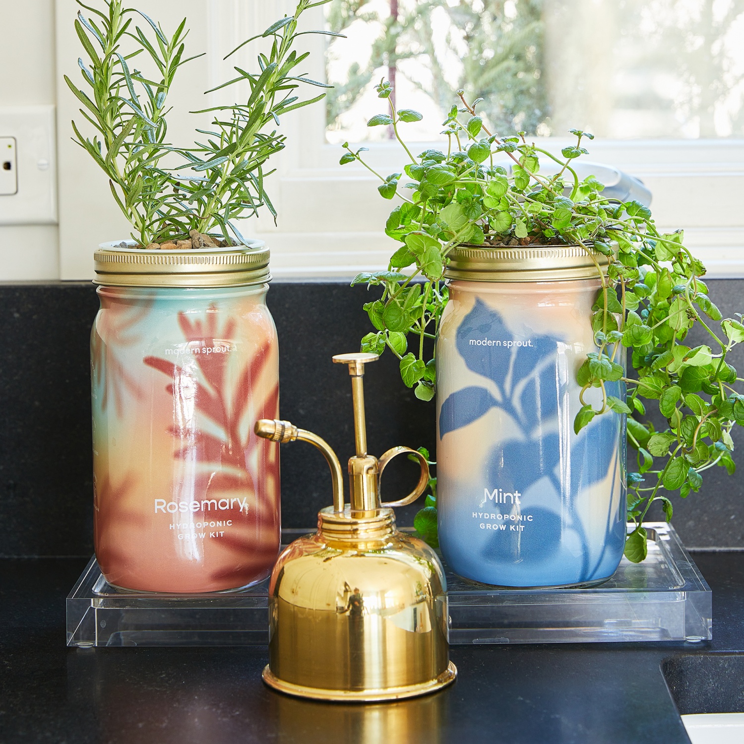 Modern Sprout | Grow Joy Indoors – Urban Gardening Essentials